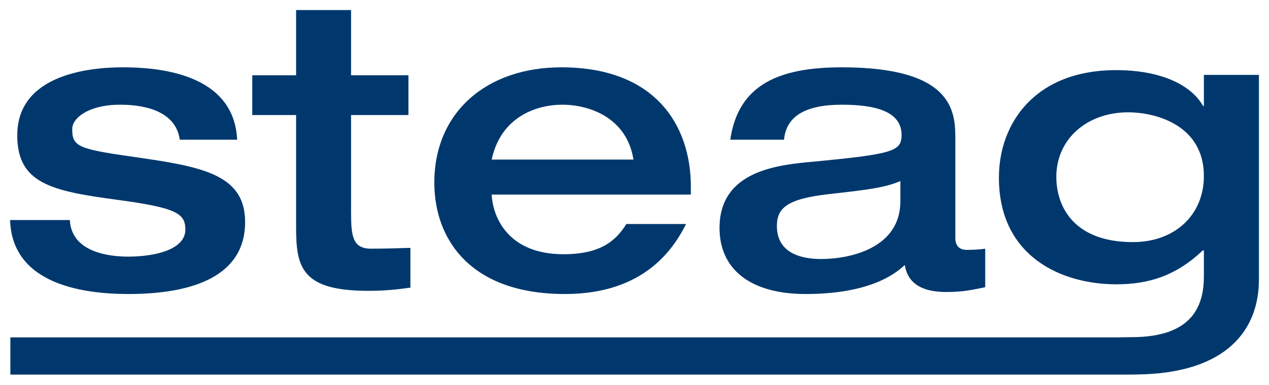 Steag_Logo